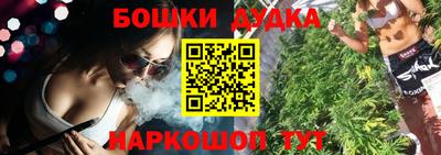 прущие крисы Славгород