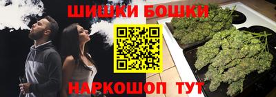 прущие крисы Славгород