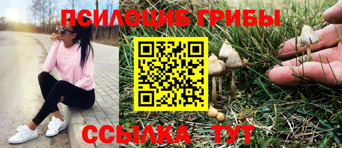 Галлюциногенные грибы ЛСД Великие Луки