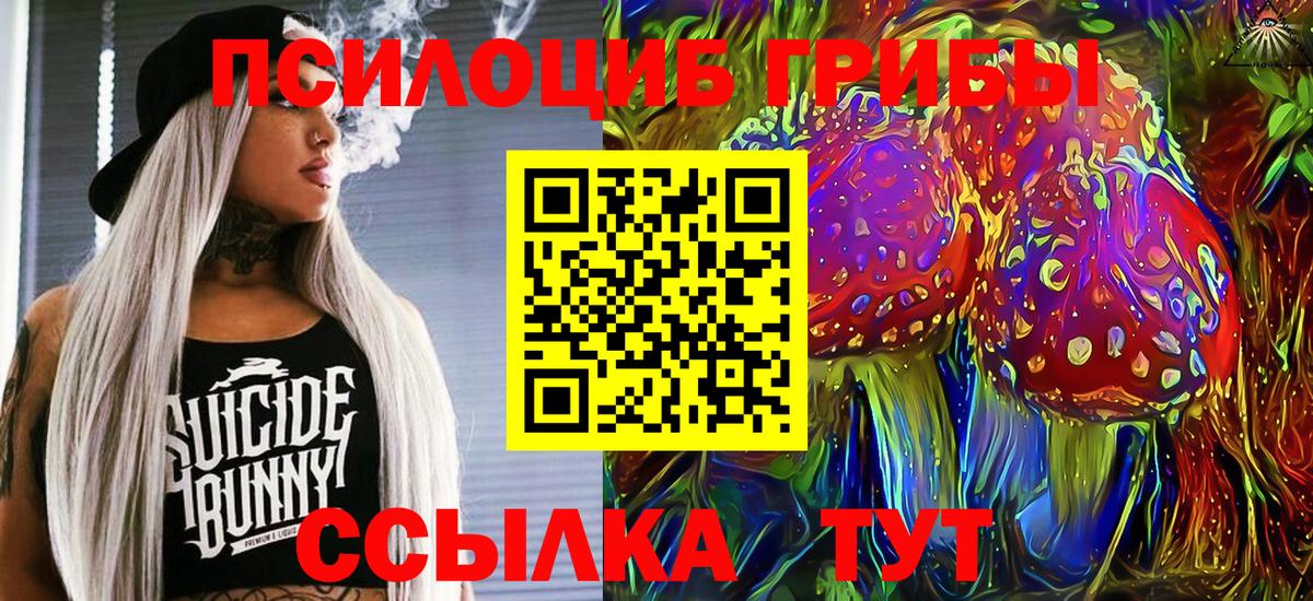 Галлюциногенные грибы Psilocybe  Вход с VPN  как найти наркотики  Великие Луки  Галлюциногенные грибы Magic Shrooms 